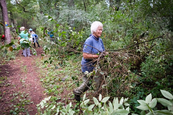 Volunteers work on a new portion of the Cross Plains Segment of the Ice Age Trail. (photo by Cameron Gillie)