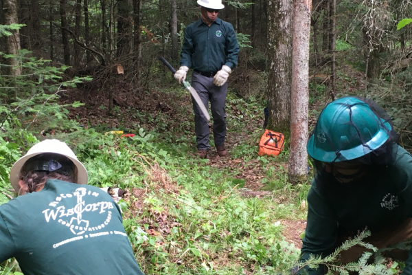 Three Wisconsin Conservation Corps members help with trail maintenance.