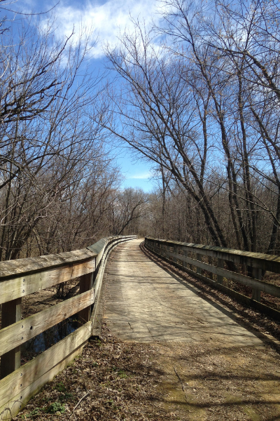 Ice Age National Scenic Trail, Ice Age Trail Alliance, Thousand-Miler Journal, Albany Segment, Boardwalk, Fall