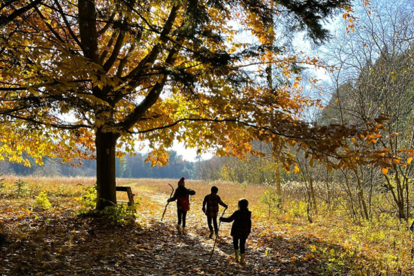 Three kids walk along a trail illuminated by fall leaves and colors.