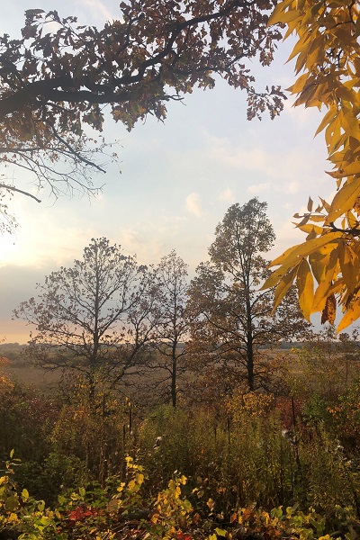 Ice Age National Scenic Trail, Ice Age Trail, Mammoth Hike Challenge, Ice Age Trail Alliance, Fall Colors Hike