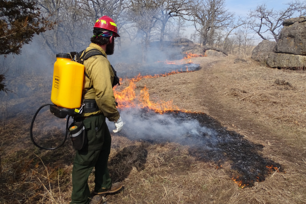 An Alliance staff member wears safety gear and watches a fire during a prescribed burn.