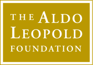 ALF logo