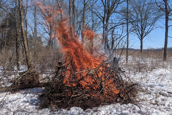 Ice Age Trail Alliance, Ice Age National Scenic Trail, Habitat Management, 2022