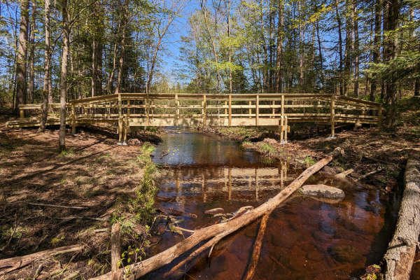A scenic shot of a wooden bridge over a creek in the northwoods.
