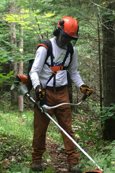 A volunteer in protective gear uses a brush cutter.