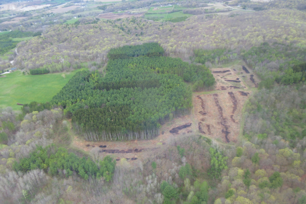 An image of the Brownrigg-Heier Preserve. Bird's-eye view of the preserve. A large green section is old pine plantation. A smaller brown section is the portion being converted to hardwood forest.
