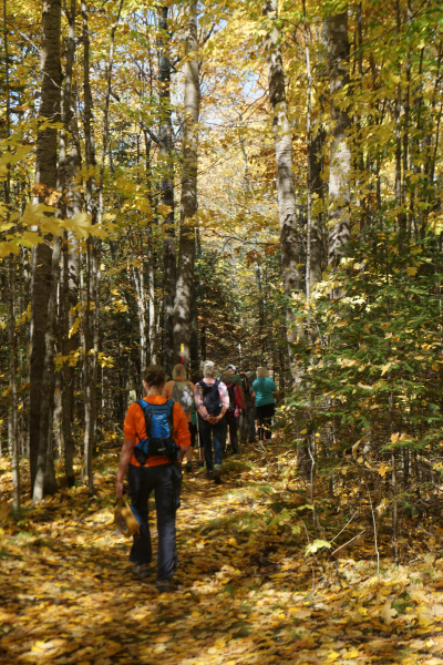Hikers enjoy the fall colors of the Rib Lake Segment. Photo by Bob Kaspar.