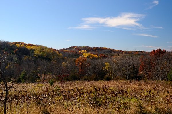 Ice Age Trail Alliance, Ice Age National Scenic Trail, Devils Lake Segment, Rachel Roberts Photographer, Land Management