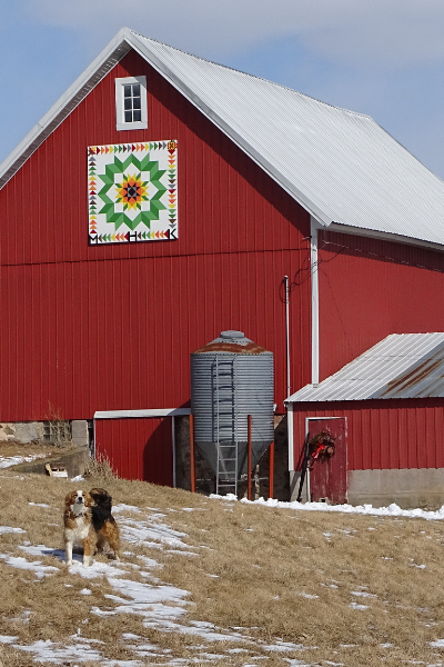 One-of-a-kind, handcrafted barn quilts can be found adorning the barns of many family farms in rural Wisconsin. Photo by Jo Ellarson.