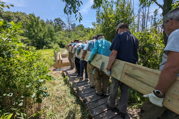 Ice Age Trail Crew volunteers carry a large boardwalk plank.