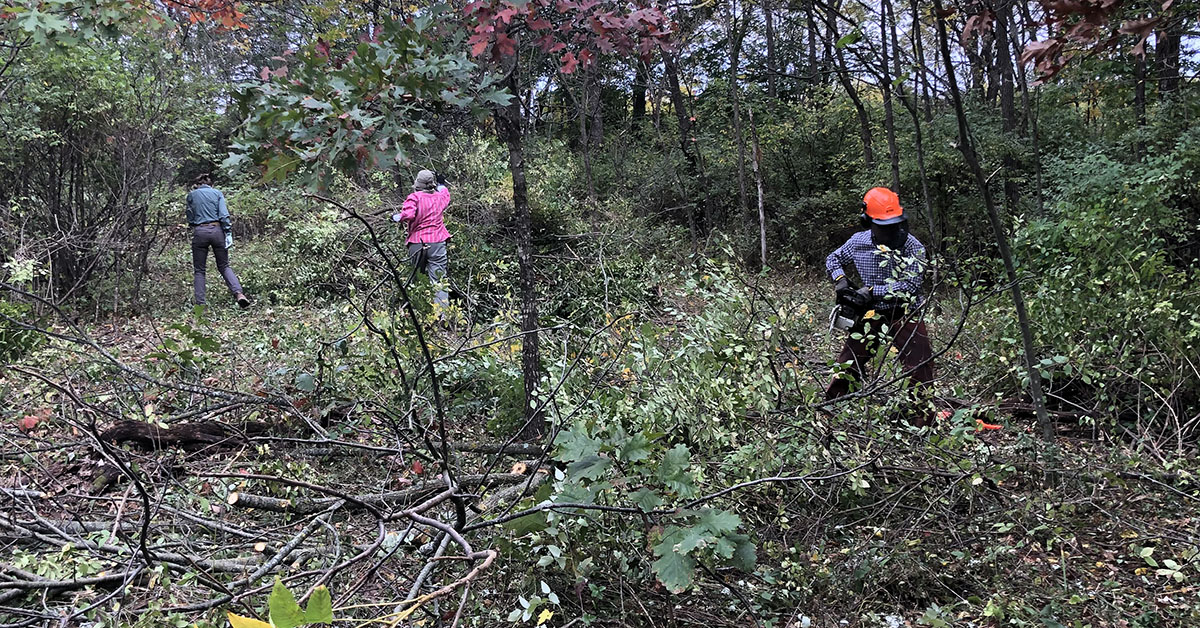 Ice Age Trail Alliance, Ice Age National Scenic Trail, Dane County Chapter, Brush Clearing