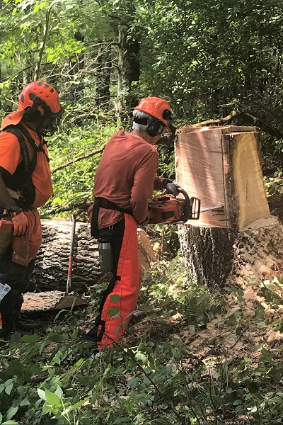 Ice Age Trail Alliance, Ice Age National Scenic Trail, Sawyer training, chainsaw training, five-step cutting process