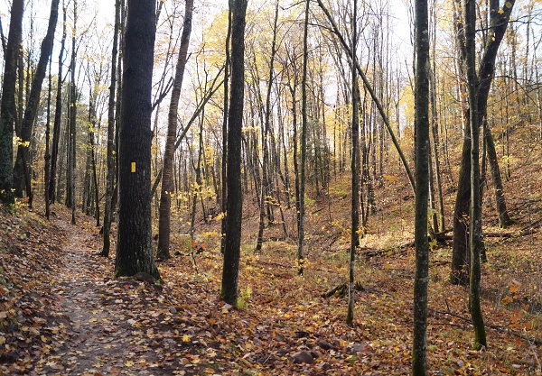 Ice Age National Scenic Trail, Ice Age Trail Alliance, Firth Lake Segment, Mobile Skills Crew 2017, Chippewa County