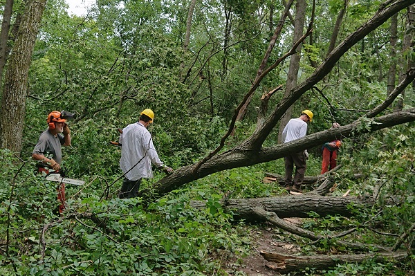 Ice Age Trail Alliance, Ice Age National Scenic Trail, Sawyers, swampers, corridor clearing, storm damage