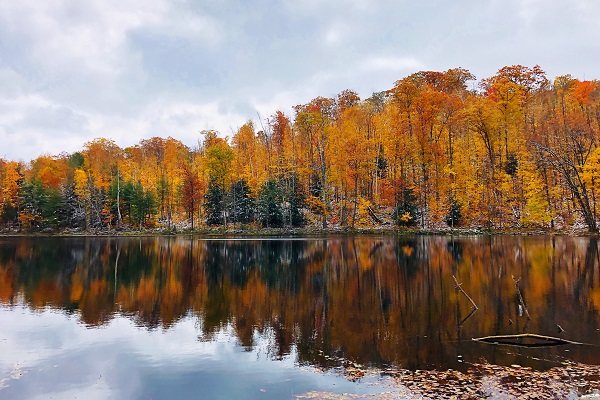 Fall colors in all their glory - a breathtaking view along the Parrish Hills Segment in Langlade County-Photo by Kris Van Handel.
