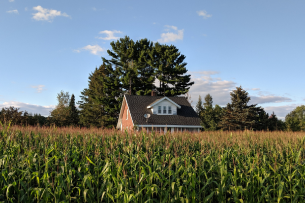 More than a pastoral scene; Mary saw sights like this as an opportunity for engagement. Photo by Mary Cieslewicz.