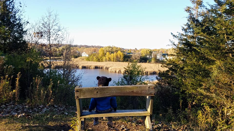 A Wee Walker rests on a bench overlooking the Hartland Marsh