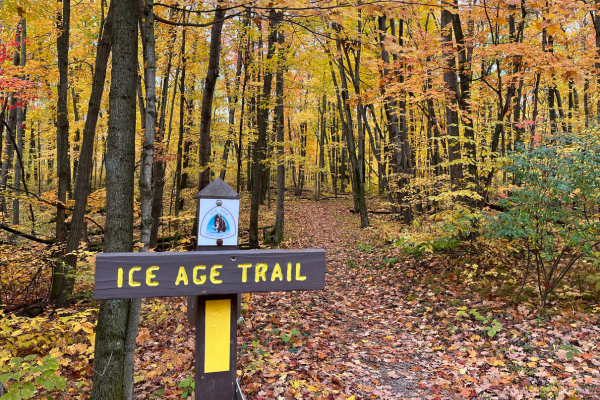 An Ice Age Trail trailhead sign with a yellow blaze stands in the forefront of a fall colors backdrop.