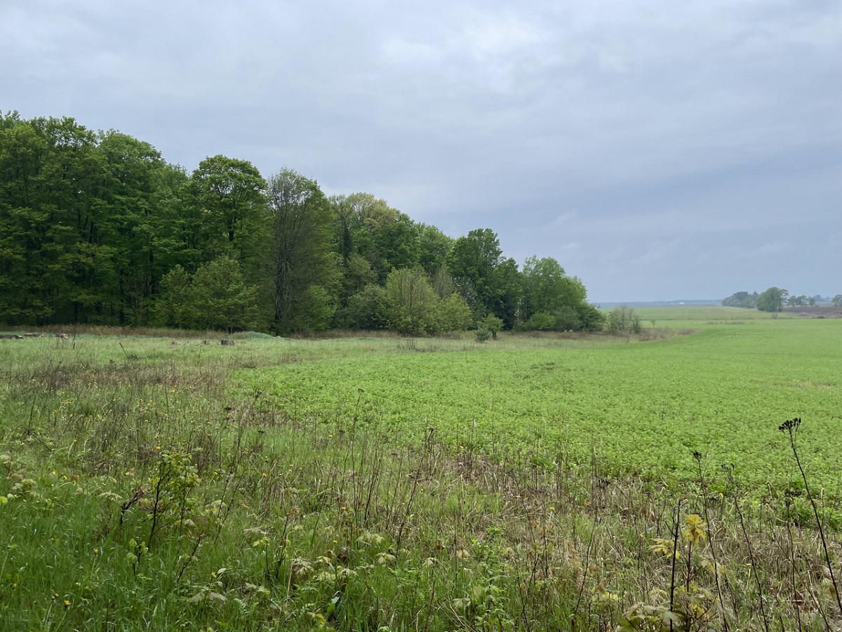 Help Protect Land in Langlade County (2)