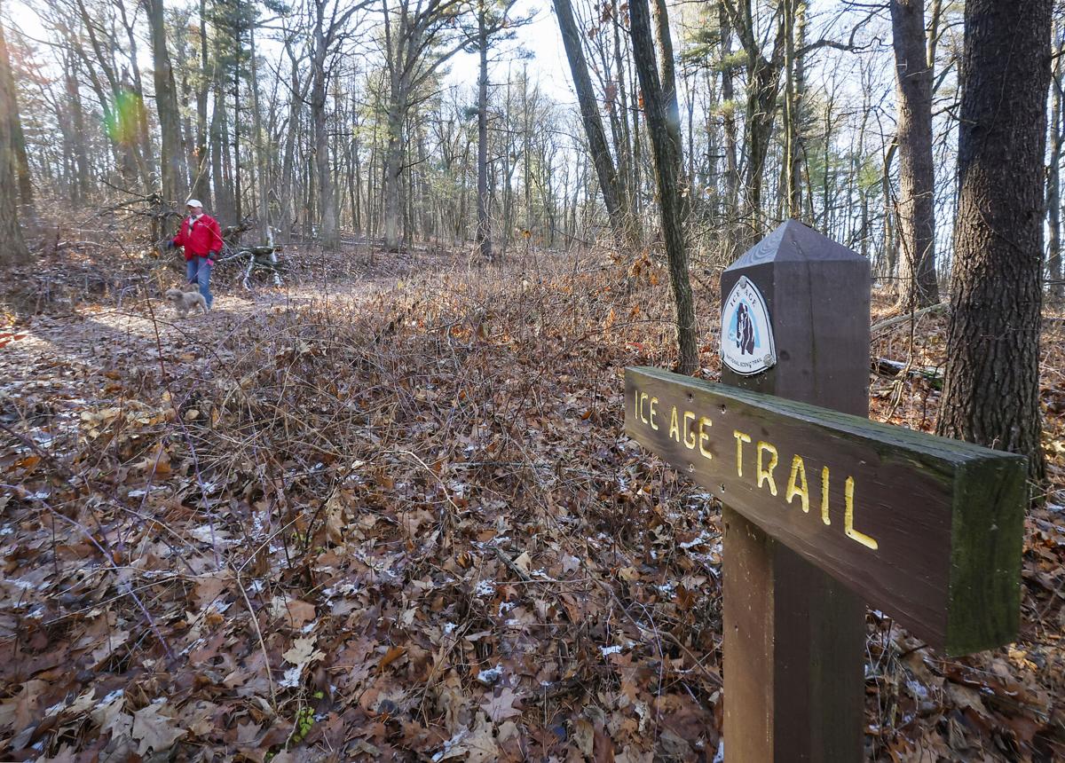 An IAT sign in the foreground with scattered oak leaves littering the trail and a distant dog-walker in the background