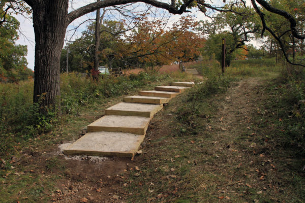 The 14 box steps framed and filled by volunteers.