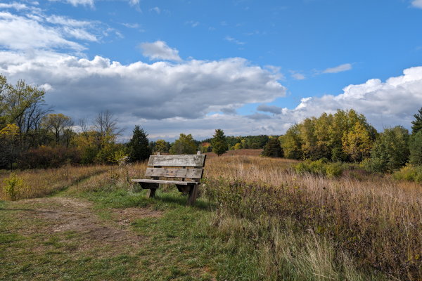A bench sits atop a hill among a prairie.