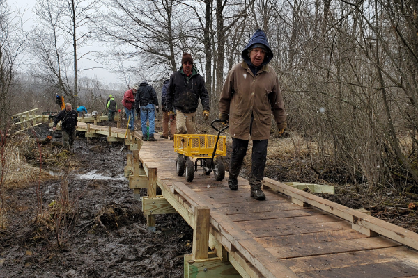 Volunteers wasted no time utilizing built sections of the boardwalk to more easily navigate the marsh as they finished construction. Photo by Riley Dupee.