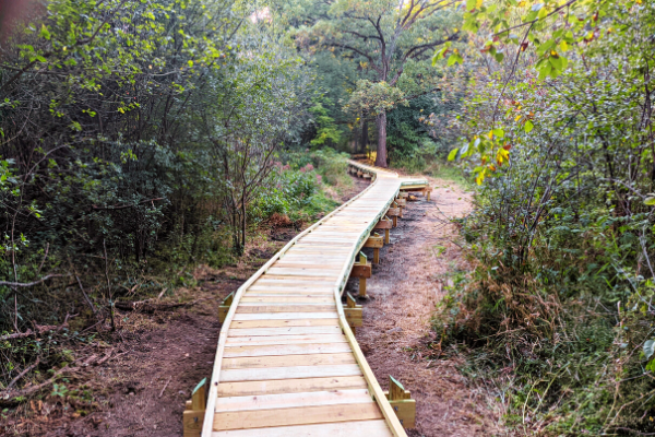 Newly constructed boardwalk on the Waterville Segment. Photo by Patrick Gleissner.