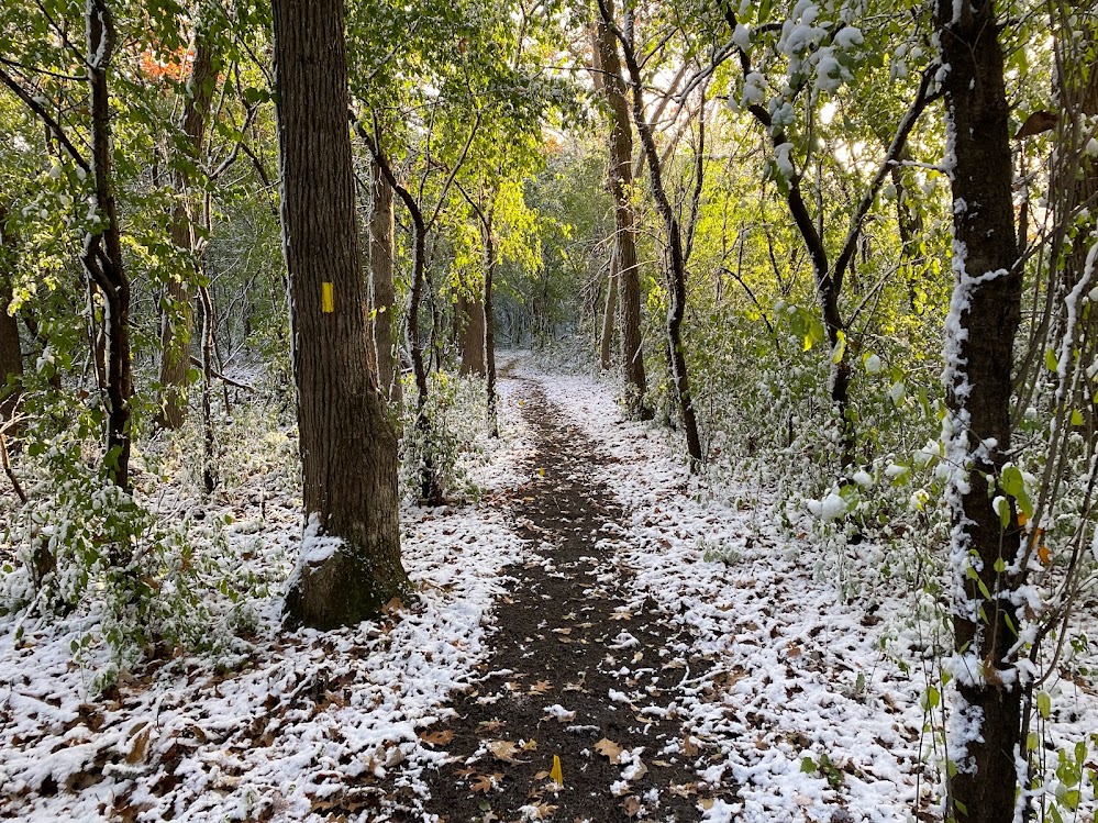 Light snow accents the trail along the newest section of the Waterville Segment.