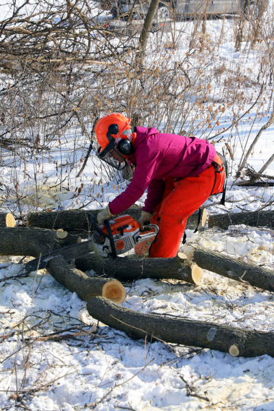 A volunteer in protective gear uses a chainsaw to cut a large branch.