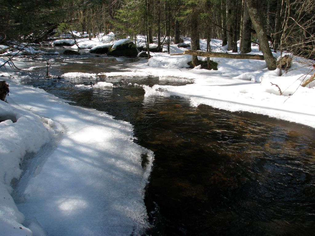 Image of the Plover River in Winter