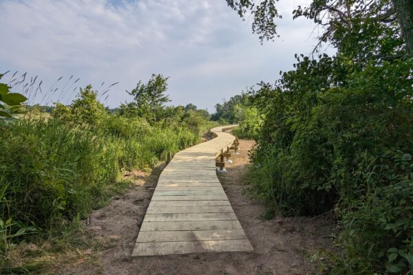 Ice Age Trail Alliance, Ice Age National Scenic Trail, Ice Age Trail, Storrs Lake Segment, MSC 2023