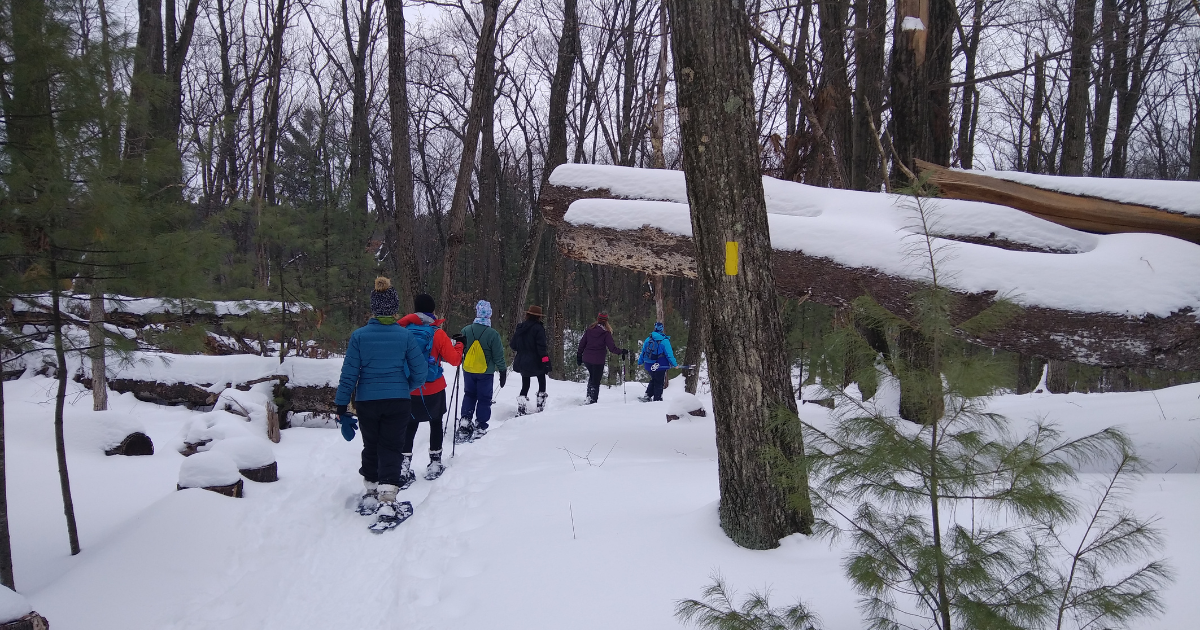 A group of people snowshoe along a snow covered trail on a winter day.