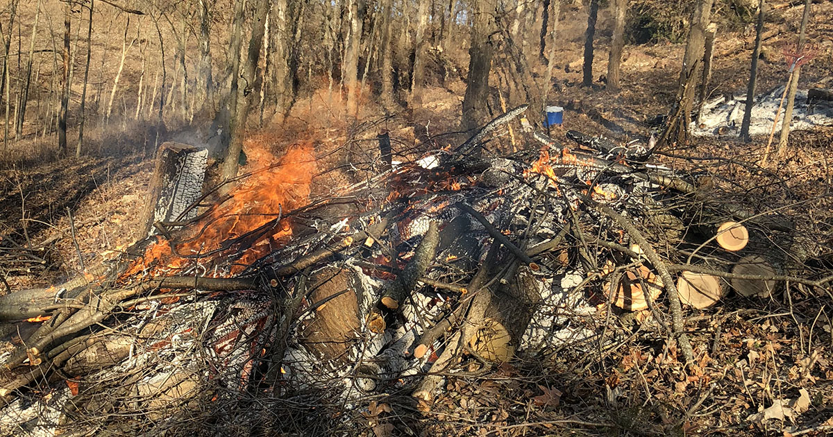 Ice Age Trail Alliance, Ice Age National Scenic Trail, Dane County Chapter, Winter Workday