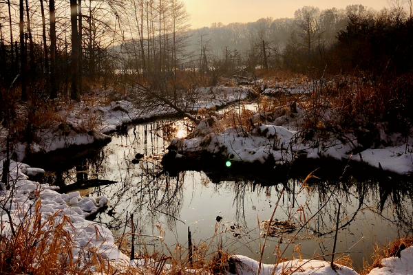 Winter beauty on the John Muir Park Segment. Photo by Alyssa Kohls.