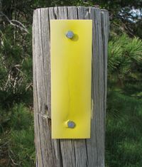 Yellow blaze - Ice Age Trail marker post