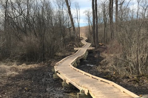 350 feet of lovely white oak boardwalk will protect wetlands and keep hikers' feet dry on the Lodi Marsh Segment of the Ice Age Trail. Photo by Jo Ellarson.