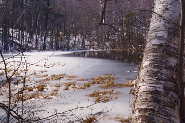 Ice Age Trail Alliance, Choose Your Adventure, Annual Conference hike at Skunk and Foster Lakes Segment