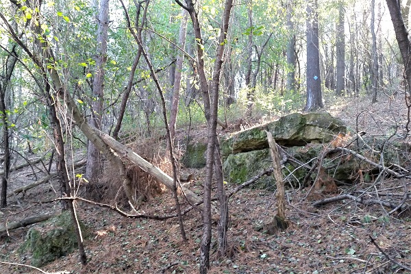 Ice Age Trail Alliance, Ice Age National Scenic Trail, Cross Plains Conservancy, Mobile Skills Crew event